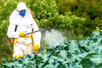An Introduction into the Federal Insecticide, Fungicide and Rodenticide Act